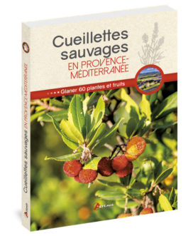 Cueillettes sauvages en Provence-Méditerranée