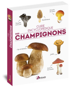 Guide encyclopédique des champignons
