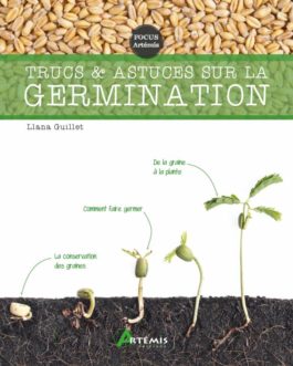 Trucs et astuces sur la germination